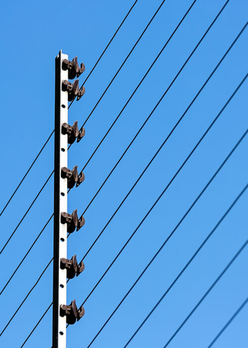 Início Cerca Elétrica